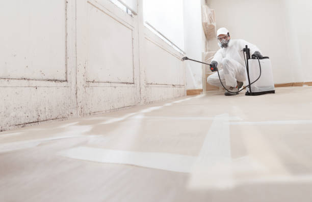 24/7 Emergency Black Mold Removal experts in Wade, NC
